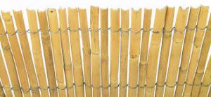 Bambus, tráva
