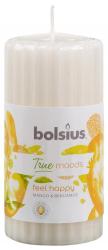 Sviecka bolsius Pillar True Moods 120/60 mm, Feel happy (mango a bergamot)