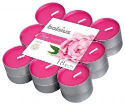 Sviecky bolsius Tealight True Scents, pivnia, bal. 18 ks