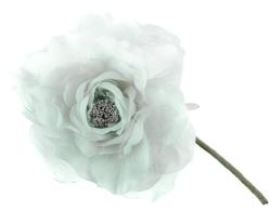 Kvet MagicHome, pivnia, zelen, stonka, vekos kvetu: 16 cm, dka kvetu: 24 cm, bal. 6