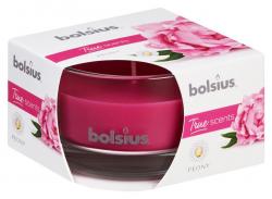 Sviecka bolsius Jar True Scents 50/80 mm, pivnia