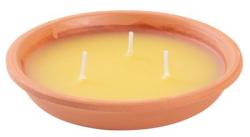 Svieka Citronella, repelentn, terakota, 80 g, 30x125 mm