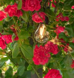 Svetlo Strend Pro, kempingov, LED, 100 lm, 400 mAh, USB-C nabjanie, iarovka