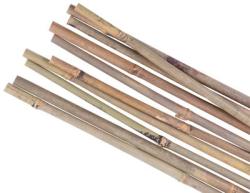 Ty Garden KBT 1800/12-14 mm, bal. 10 ks, bambus, oporn k rastlinm