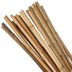 Ty� Garden KBT 450/6-8 mm, bal. 10 ks, bambus, oporn� k rastlin�m