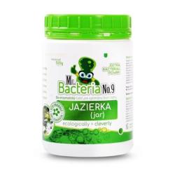 Aktivtor Mr.Bacteria No.9, tart pre jazierka (jar), 500g