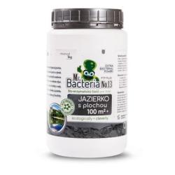 Aktivtor Mr.Bacteria No.13, pre jazierka s plochou 100m2+ , 1000 g
