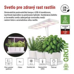 Obr�zok (4)