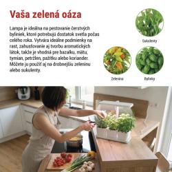 Obr�zok (7)