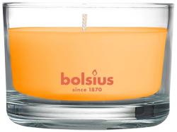 Svieka Bolsius Jar True Scents 50/80 mm, vonn, mango, v skle