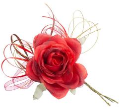 Kvet MagicHome, rua, erven, stonka, vekos kvetu: 10 cm, dka kvetu: 18 cm, bal. 6 ks