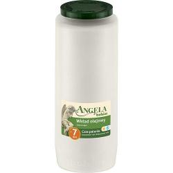 Npl Bolsius Angela NR12 biela, 155 h, 471 g, priemer 6,5cm, do kahanca, olej