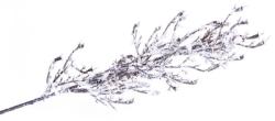 Vetvika MagicHome Vianoce, Twig.SnoWhite, biela, 22x43 cm