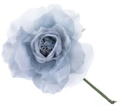 Kvet MagicHome, pivnia, modr, stonka, vekos kvetu: 16 cm, dka kvetu: 24 cm, bal. 6 k