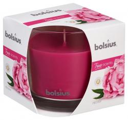 Sviecka bolsius Jar True Scents 95/95 mm, pivnia