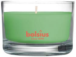 Svieka Bolsius Jar True Scents 50/80 mm, vonn, zelen aj, v skle