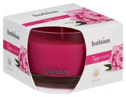 Svieka Bolsius Jar True Scents 63/90 mm, vonn, pivnia
