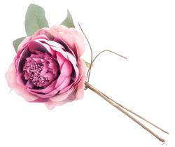 Kvet MagicHome, rua rozvit, tmavoruov, stonka, vekos kvetu: 11 cm, dka kvetu: 22 c