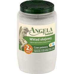 Npl Bolsius Angela NR03 biela, 55 h, 150 g, priemer 5,5cm, do kahanca, olej